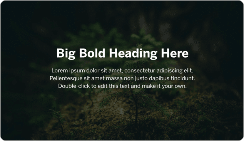 Dark background with large Big Bold Heading Here text overlaying a small conifer seedling in mossy soil